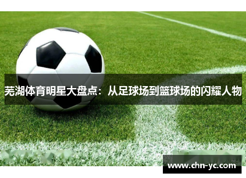 芜湖体育明星大盘点：从足球场到篮球场的闪耀人物