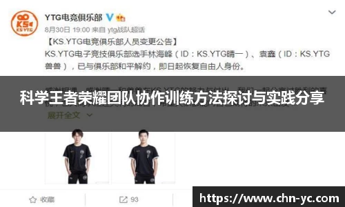 333体育科学王者荣耀团队协作训练方法探讨与实践分享